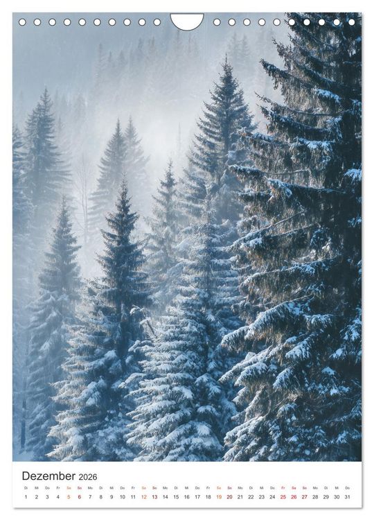 Produktbild: Seelenzeit Natur (Wandkalender 2026 DIN A4 hoch), CALVENDO Monatskalender