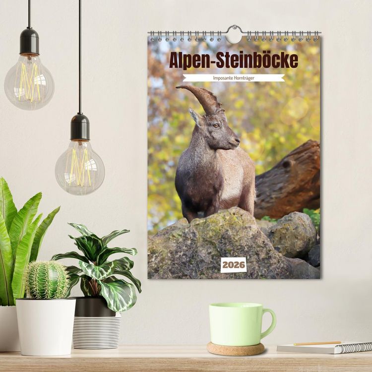Produktbild: Alpen-Steinb&ouml;cke, imposante Horntr&auml;ger (Wandkalender 2026 DIN A4 hoch), CALVENDO Monatskalender