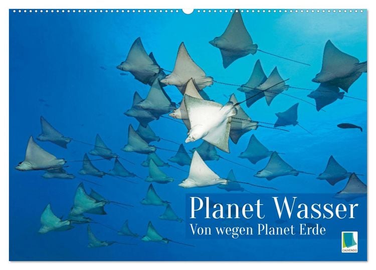 Produktbild: Planet Wasser: Von wegen Planet Erde (Wandkalender 2026 DIN A2 quer), CALVENDO Monatskalender
