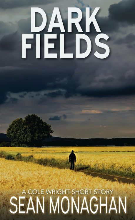 Produktbild: Dark Fields (Cole Wright, #101)