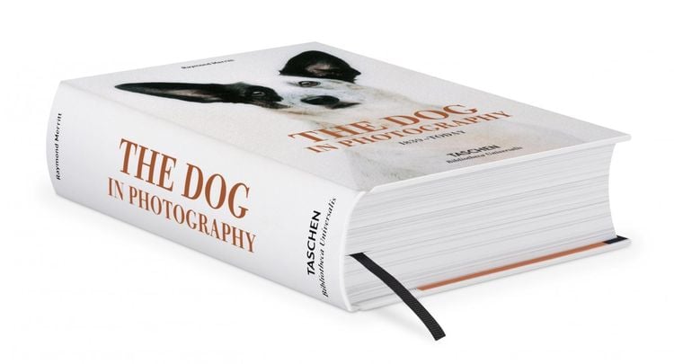 Produktbild: The Dog in Photography 1839&ndash;Today