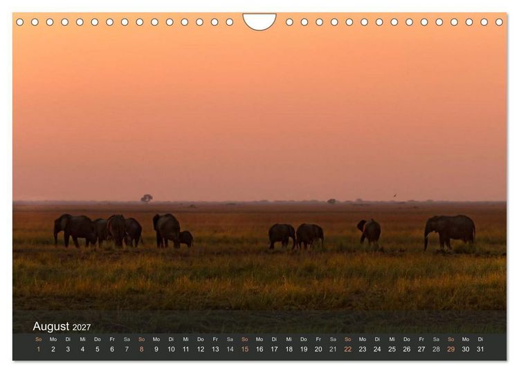 Produktbild: Elefanten (Wandkalender 2027 DIN A4 quer), CALVENDO Monatskalender