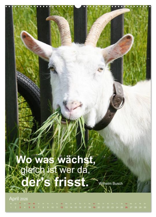 Produktbild: Nimm das Leben leicht, auch wenn's manchmal schwerf&auml;llt (hochwertiger Premium Wandkalender 2026 DIN A2 hoch), Kunstdruck in Hochglanz