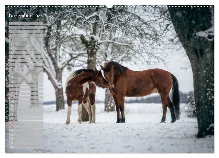 Produktbild: Pferde - Spiegel deiner Seele (Wandkalender 2027 DIN A2 quer), CALVENDO Monatskalender