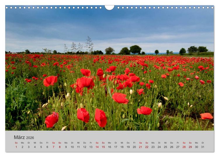 Produktbild: Die Sch&ouml;nheit der Bretagne (Wandkalender 2026 DIN A3 quer), CALVENDO Monatskalender