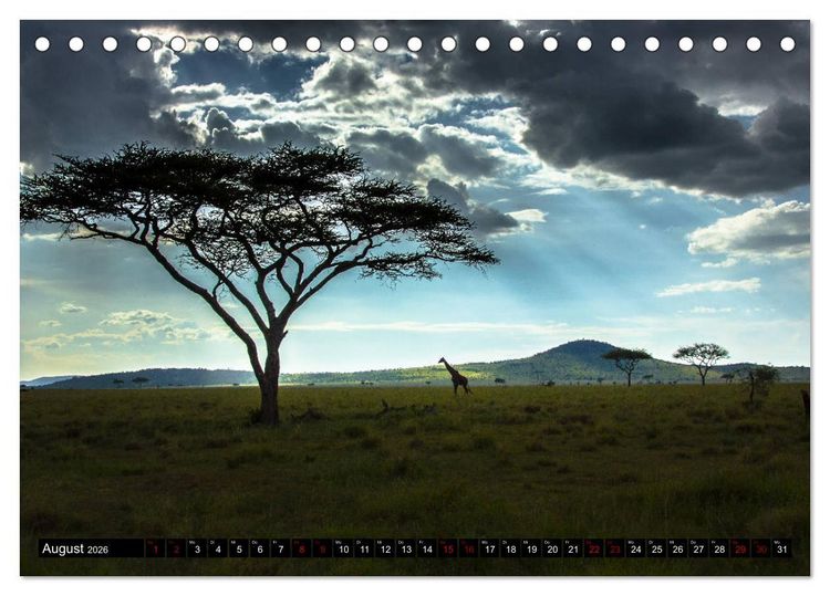 Produktbild: Tansania - Tierwanderung in der Serengeti (Tischkalender 2026 DIN A5 quer), CALVENDO Monatskalender