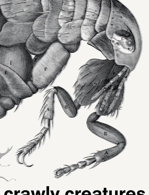 Produktbild: Crawly Creatures