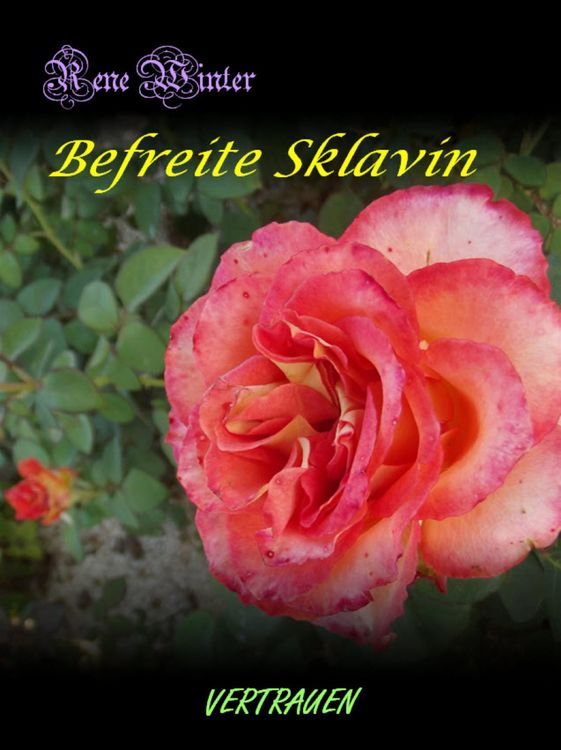 Produktbild: Befreite Sklavin