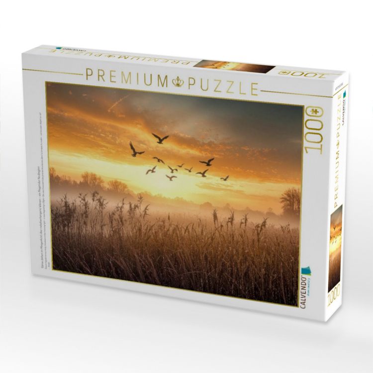Produktbild: CALVENDO Puzzle G&auml;nse ziehen im Morgenlicht &uuml;ber nebelverhangene Wiesen - ein fliegender Neubeginn | 1000 Teile Lege-Gr&ouml;&szlig;e 64x48cm Foto-Puzzle f&uuml;r gl&uuml;