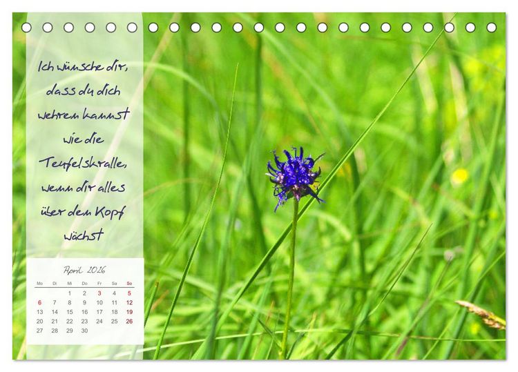 Produktbild: Bl&uuml;hende Herzensw&uuml;nsche f&uuml;r Dich! (Tischkalender 2026 DIN A5 quer), CALVENDO Monatskalender