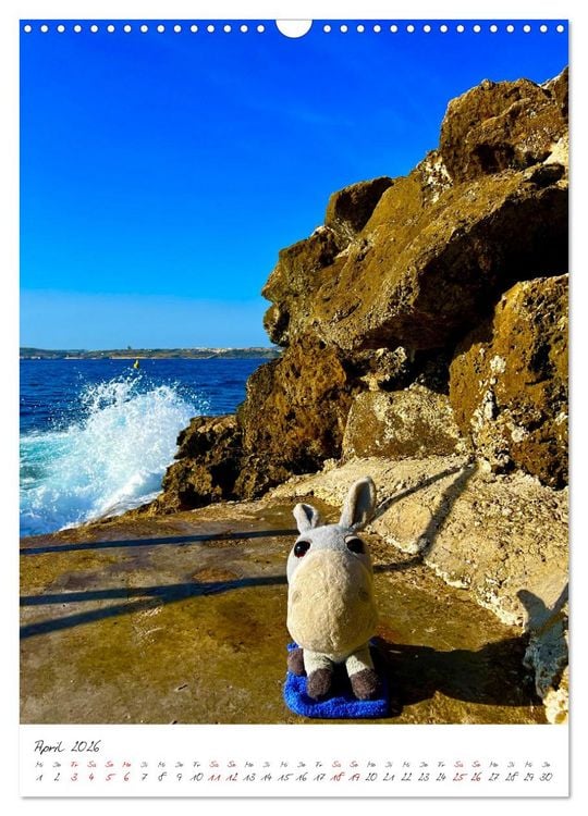 Produktbild: Schorschi auf Reisen ein kleiner Esel unterwegs auf der Insel Malta (Wandkalender 2026 DIN A3 hoch), CALVENDO Monatskalender