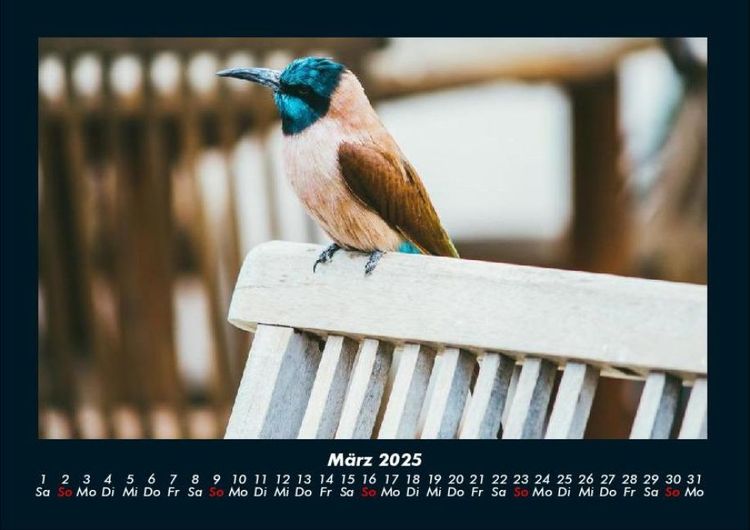 Produktbild: Vogelparadies 2025 Fotokalender DIN A4