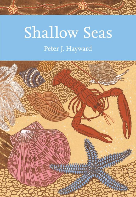 Produktbild: Shallow Seas