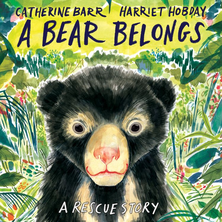 Produktbild: A Bear Belongs