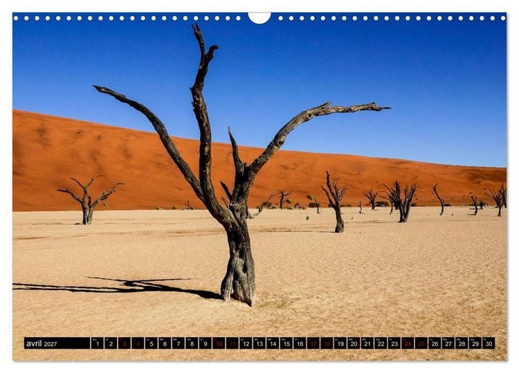Produktbild: Namibie Rouge et Or (Calendrier mural 2027 DIN A3 vertical), CALVENDO calendrier mensuel