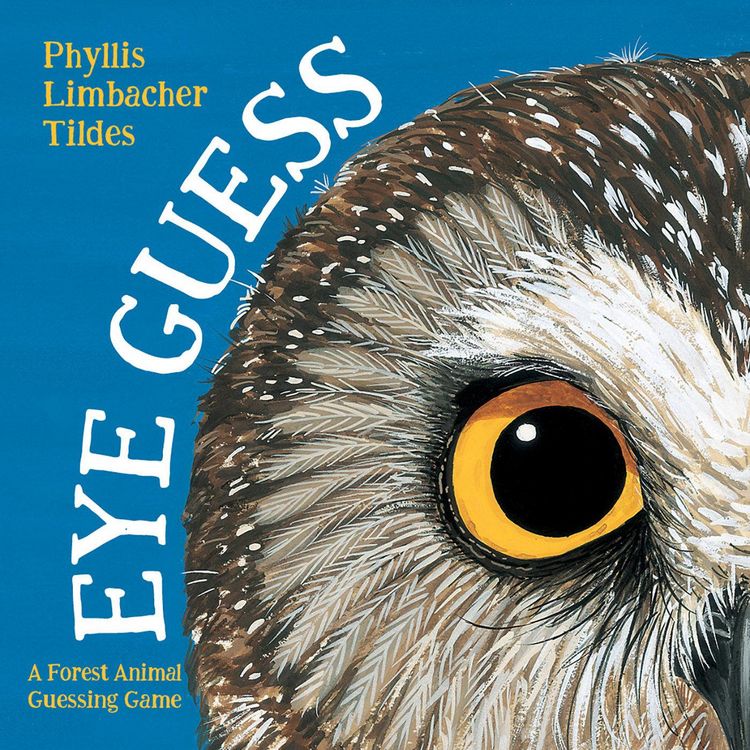 Produktbild: Eye Guess
