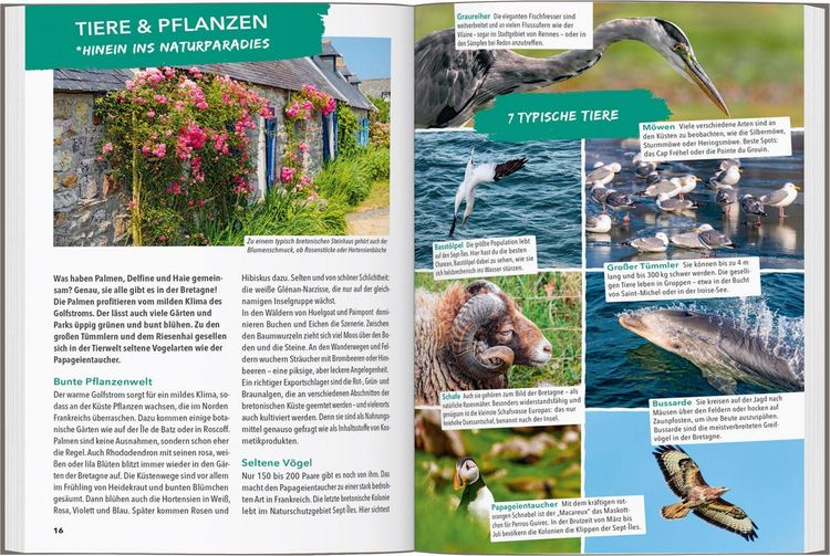Produktbild: Marco Polo Outdoor Guide Reisef&uuml;hrer Bretagne