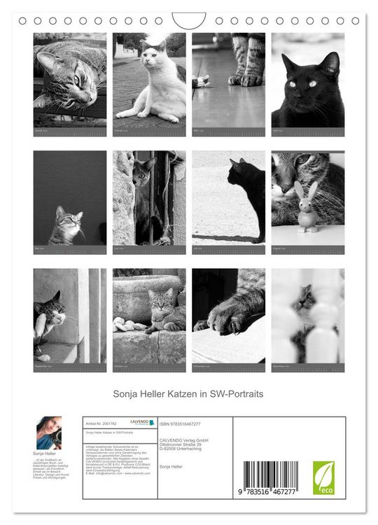 Produktbild: Sonja Heller Katzen in SW-Portraits (Wandkalender 2026 DIN A4 hoch), CALVENDO Monatskalender
