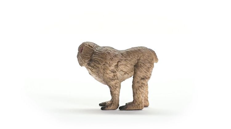 Produktbild: schleich&reg; Wild Life Japanmakak 5,5cm