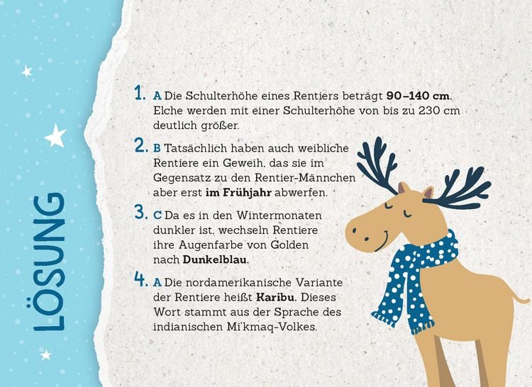 Produktbild: 24 Adventsrätsel | Die perfekte Ablenkung vom Weihnachtsstress