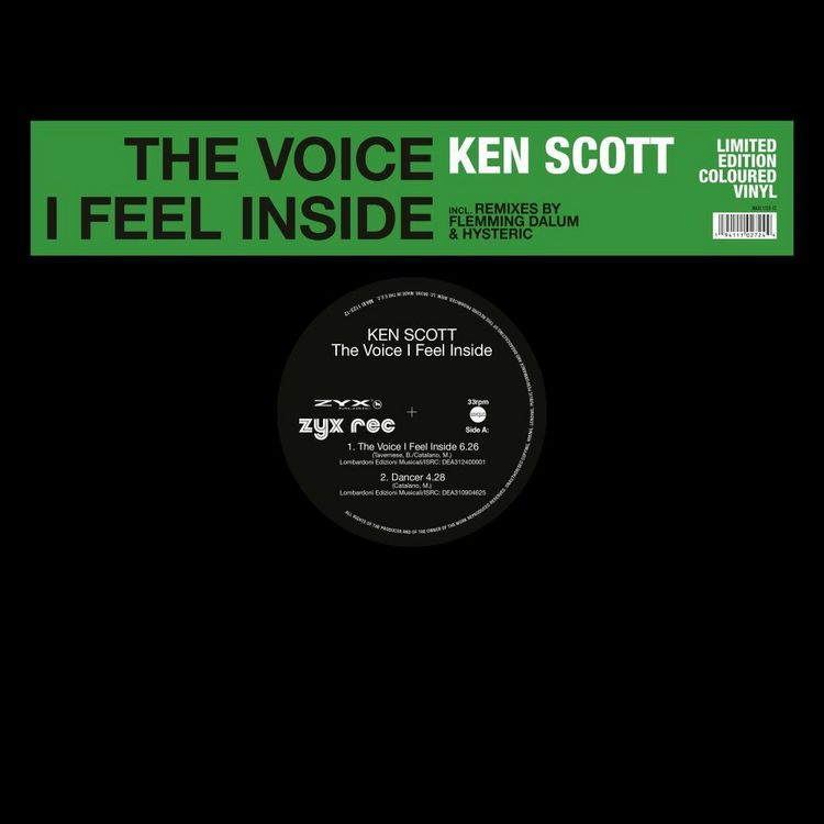 Produktbild: The Voice I Feel Inside, 1 Schallplatte (Maxi Vinyl)