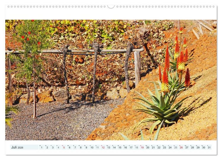 Produktbild: La Palma. Wandern, Flanieren und Genie&szlig;en (Wandkalender 2026 DIN A2 quer), CALVENDO Monatskalender