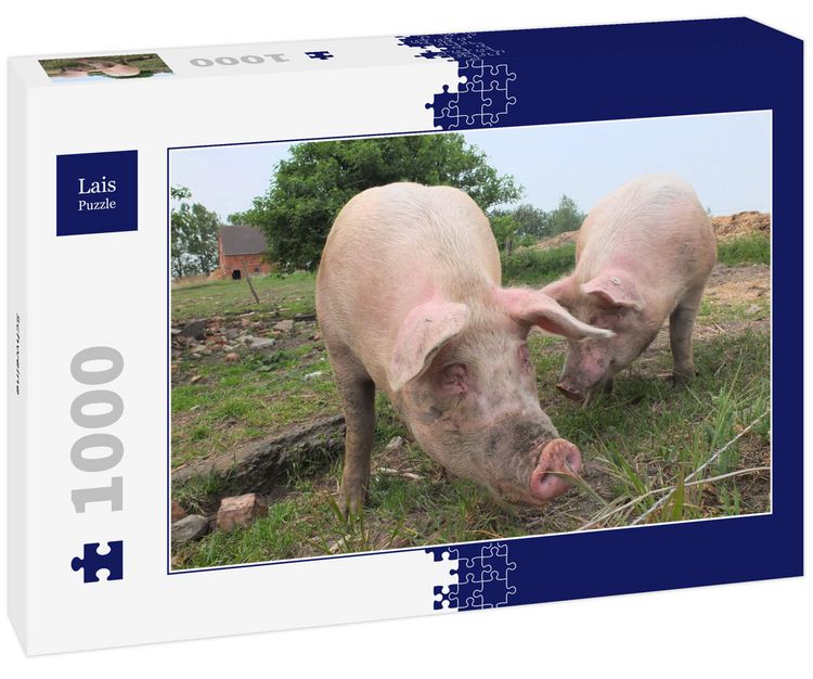 Produktbild: Lais Puzzle Schweine 1000 Teile