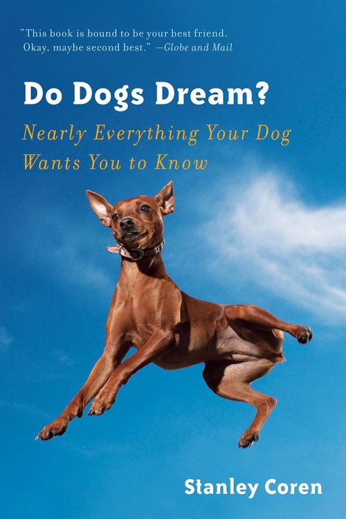 Produktbild: Do Dogs Dream?