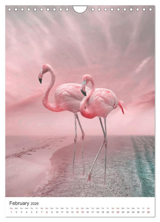 Produktbild: Flamingo and the sea (Wall Calendar 2026 DIN A4 portrait), CALVENDO 12 Month Wall Calendar