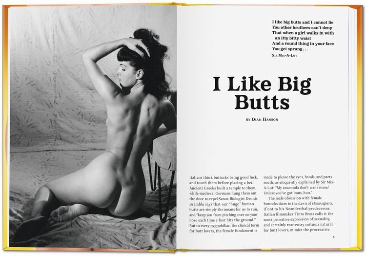 Produktbild: The Little Big Butt Book
