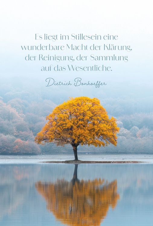 Produktbild: Beh&uuml;tet und getr&ouml;stet - Aufstellbuch