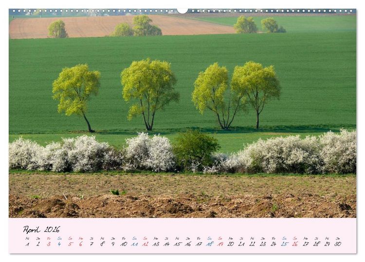 Produktbild: Wald und Baum 2026 (hochwertiger Premium Wandkalender 2026 DIN A2 quer), Kunstdruck in Hochglanz