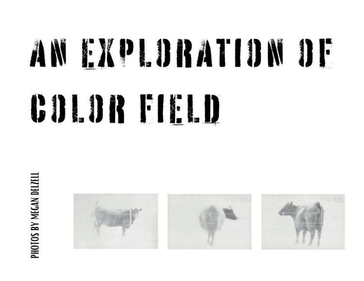 Produktbild: An Exploration In Color Field