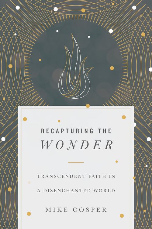 Produktbild: Recapturing the Wonder