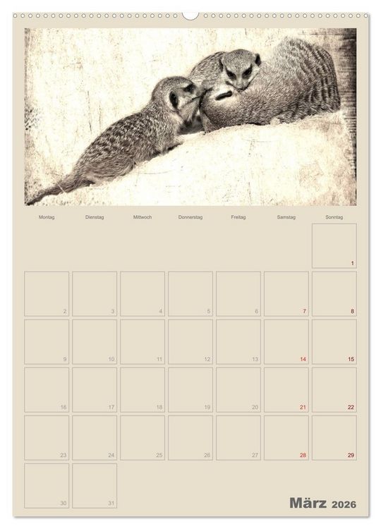Produktbild: Lustige Erdm&auml;nnchen (Wandkalender 2026 DIN A2 hoch), CALVENDO Monatskalender
