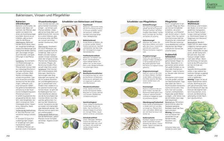 Produktbild: Das gro&szlig;e GU Gartenbuch