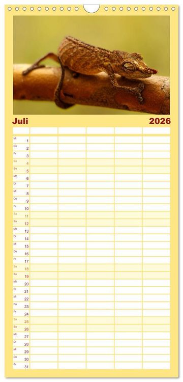 Produktbild: Familienplaner 2026 - Tierisch tolles Madagaskar - Cham&auml;leons, Lemuren und mehr mit 5 Spalten (Wandkalender, 21 x 45 cm) CALVENDO
