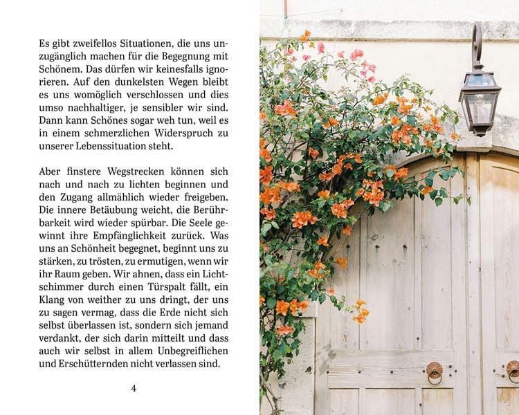 Produktbild: Sch&ouml;nheit l&auml;dt uns ein