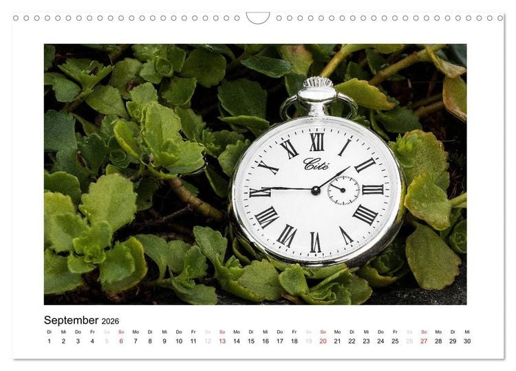 Produktbild: Uhren aus aller Welt (Wandkalender 2026 DIN A3 quer), CALVENDO Monatskalender