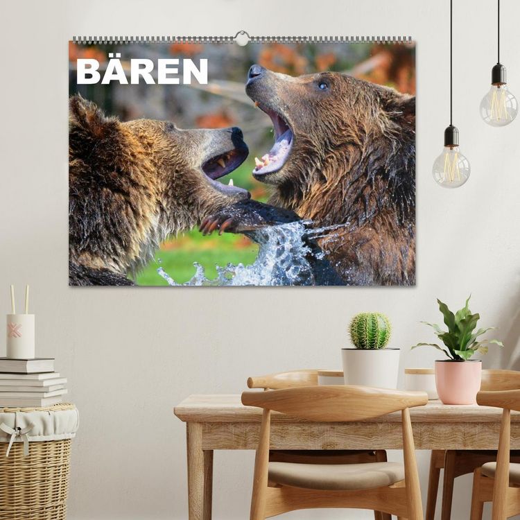 Produktbild: B&auml;ren (Wandkalender 2026 DIN A2 quer), CALVENDO Monatskalender