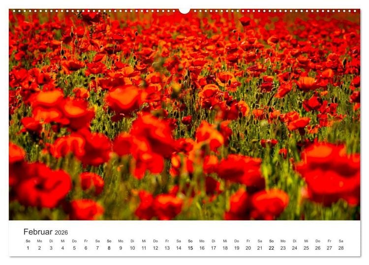 Produktbild: Die sch&ouml;nsten Blumenwiesen der Welt (hochwertiger Premium Wandkalender 2026 DIN A2 quer), Kunstdruck in Hochglanz