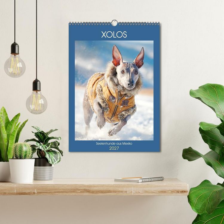 Produktbild: Xolos. Seelenhunde aus Mexiko (Wandkalender 2027 DIN A3 hoch), CALVENDO Monatskalender