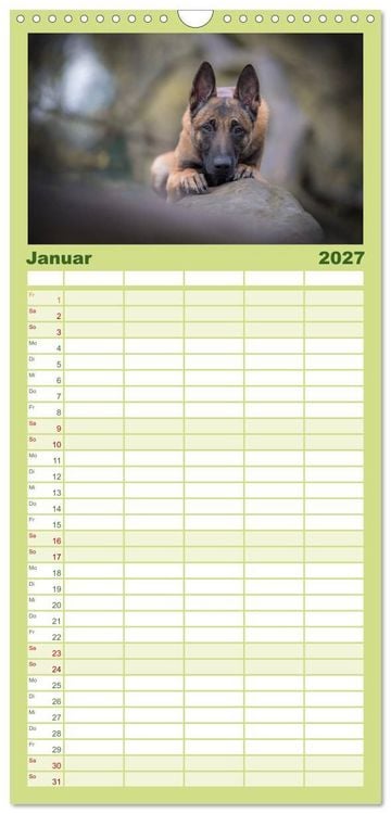 Produktbild: Familienplaner 2027 - Belgischer Sch&auml;ferhund - Der Malinois mit 5 Spalten (Wandkalender, 21 x 45 cm) CALVENDO