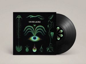 Produktbild: Simulacra