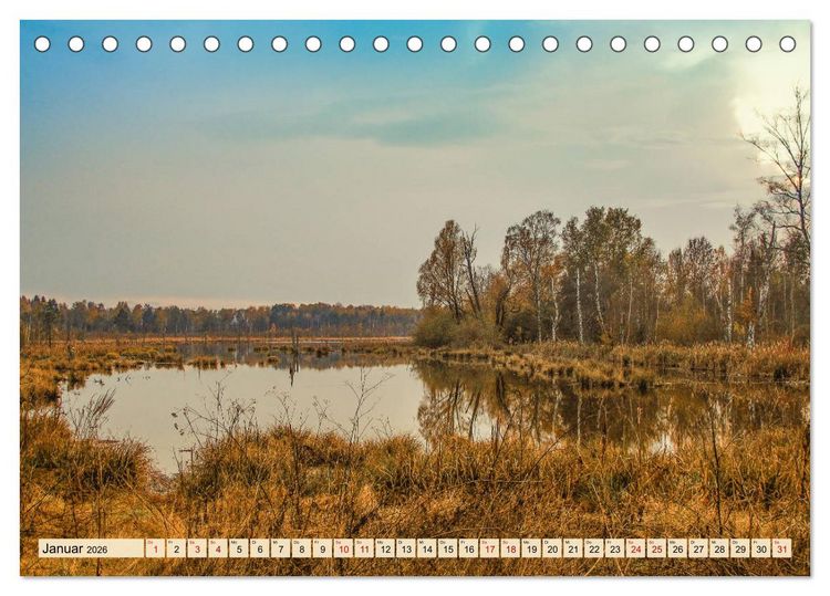Produktbild: Herbst im Schwenninger Moos (Tischkalender 2026 DIN A5 quer), CALVENDO Monatskalender