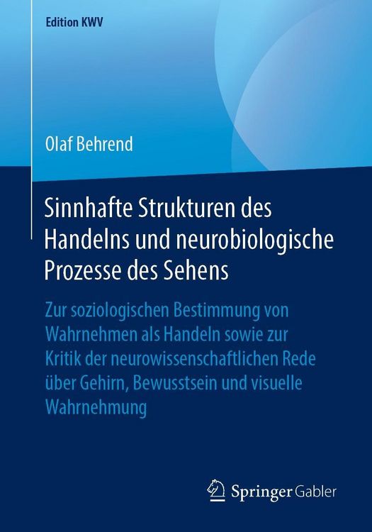 Produktbild: Sinnhafte Strukturen des Handelns und neurobiologische Prozesse des Sehens