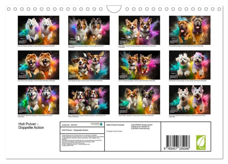 Produktbild: Holi Pulver - Doppelte Action (Wandkalender 2026 DIN A4 quer), CALVENDO Monatskalender