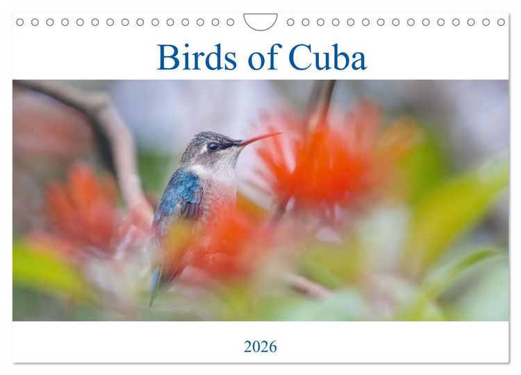 Produktbild: Birds of Cuba Island (Wall Calendar 2026 DIN A4 landscape), CALVENDO 12 Month Wall Calendar