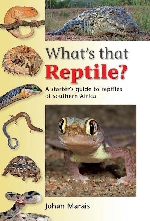 Produktbild: What's that Reptile?