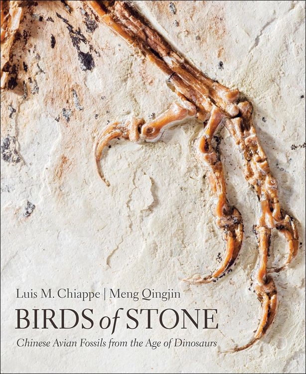 Produktbild: Birds of Stone
